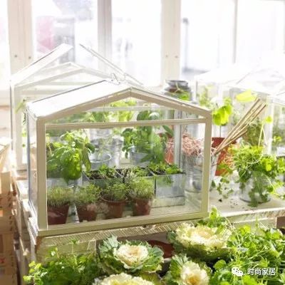 淘宝平价家居好物推荐 (性价比高的淘宝家居店)