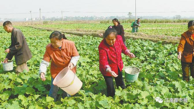 强镇扩权什么意思,强镇扩权