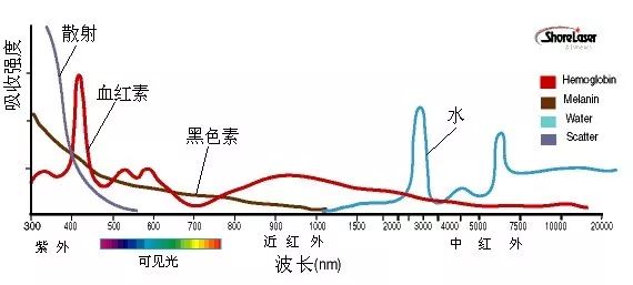 知美丨年会、同学会、相亲会……年底这么忙，你准备好了吗？