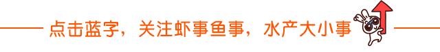 养虾肥水正确方法,虾田冬季肥水可不可以用磷肥肥水