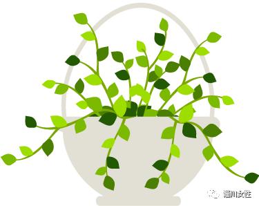 张云美：一把修脚刀修身又助人