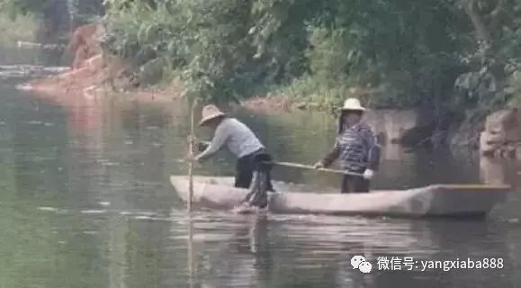 养虾肥水正确方法,虾田冬季肥水可不可以用磷肥肥水