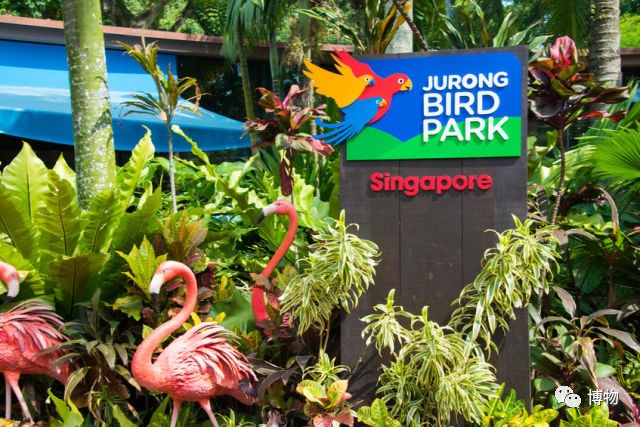 动物园哪家强,动物园排行榜