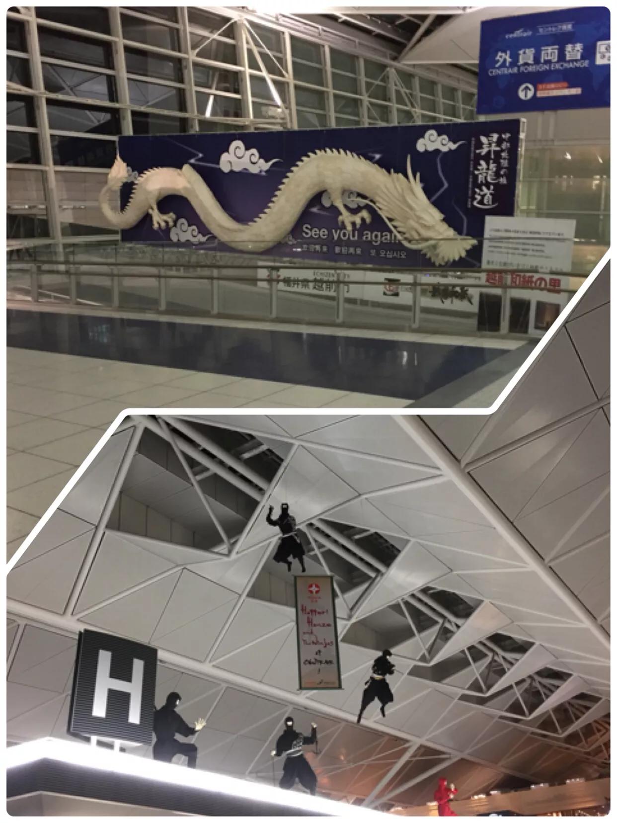 零基础怎么做海外代购,做海外代购新手入门知识