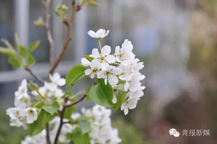 guide女声版,guide女团出道了吗