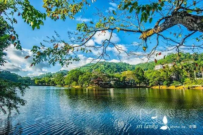 往返二张机票,往返机票去云南和西双版纳