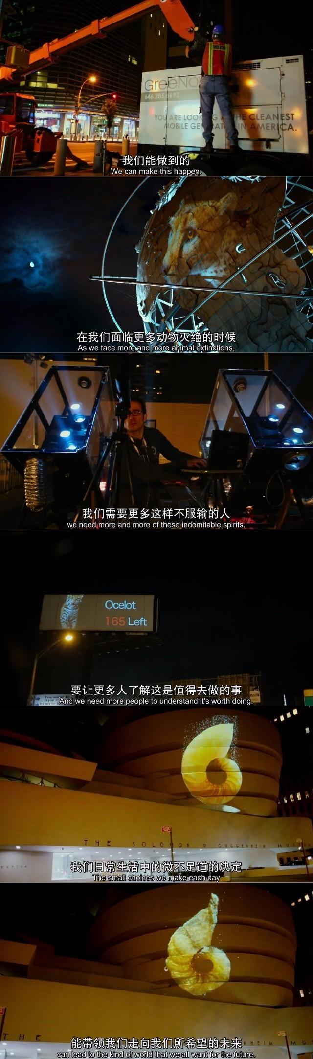 推荐｜《竞相灭绝》：与物种灭绝竞速的死亡赛跑