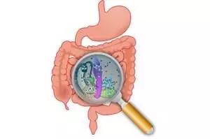 几乎无所不能的益生菌,不是所有的益生菌都是好的