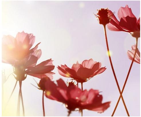 怎么改变对老公的依赖心理,男生如何摆脱初恋情结