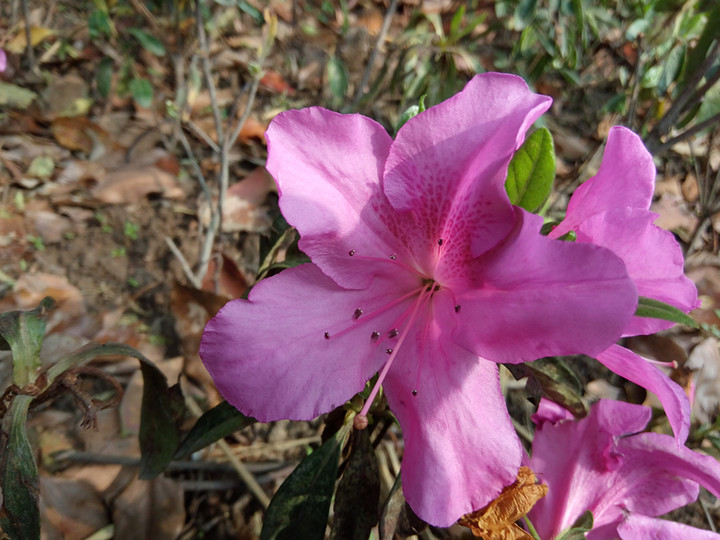 360f4手机耐用,360f4手机高配版