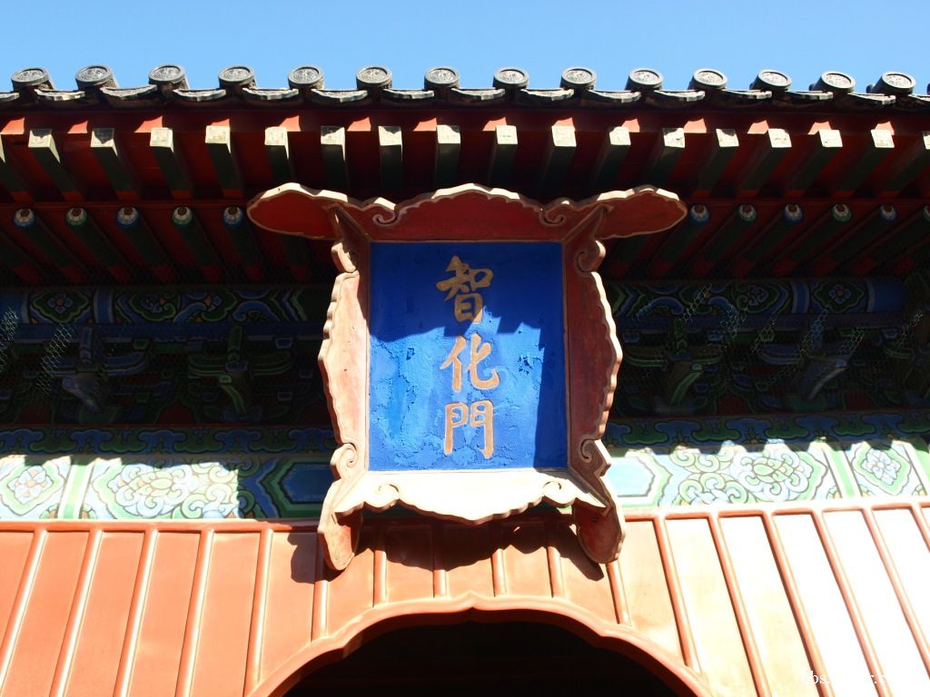 28岁北京姑娘征婚,北京中老年征婚交友50岁左右