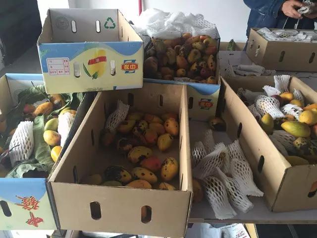 微商做水果能挣钱吗,微商水果前景如何