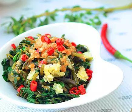 吃野菜马齿菜的功效,马齿苋和荠菜哪个好吃