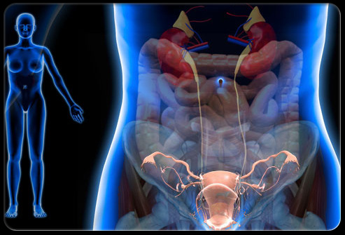 盆腔疼痛怎么引起的,盆腔疼痛是什么原因引起的