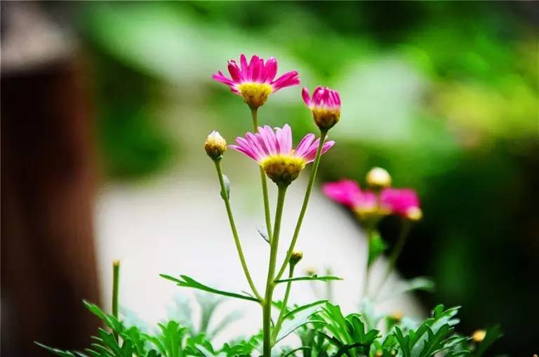 大理古城主题客栈,大理古城mtb主题客栈