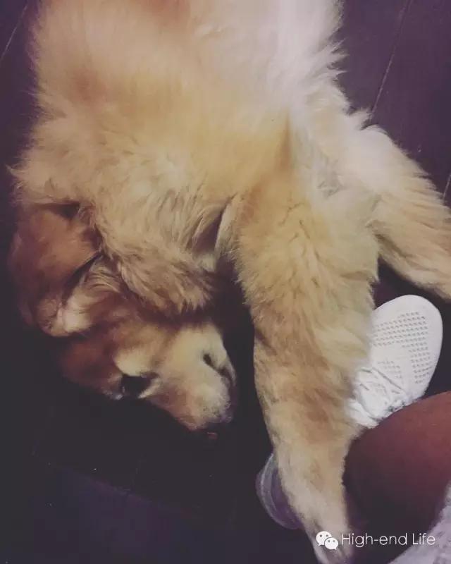 余文乐周冬雨谈内心话,余文乐与周冬雨有多甜蜜