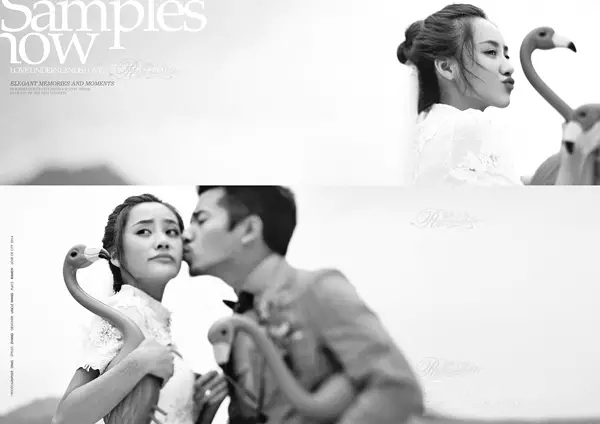 不看这个就去选婚纱摄影？你胆儿真大！