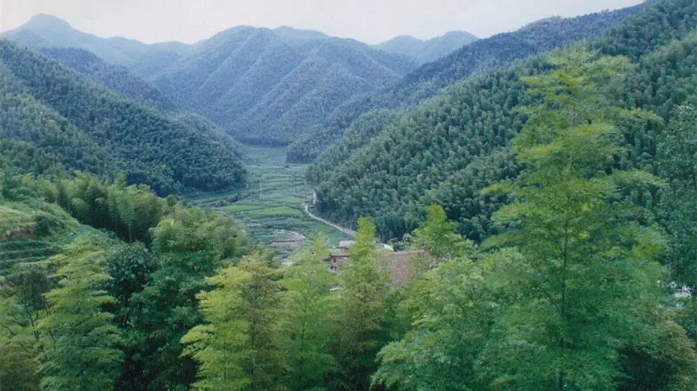 杭州最值得去吃的地方,杭州旅游美食推荐地点