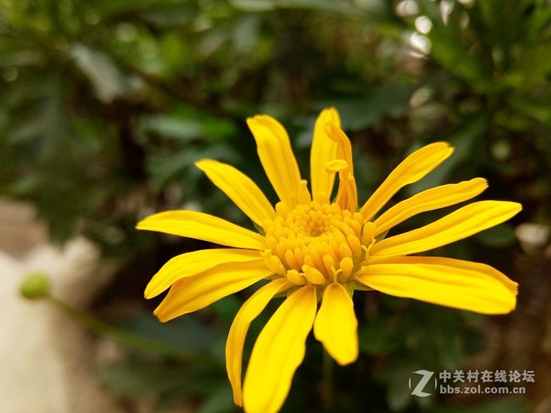 颜值高的手机oppor9,颜值与实力并存的体验