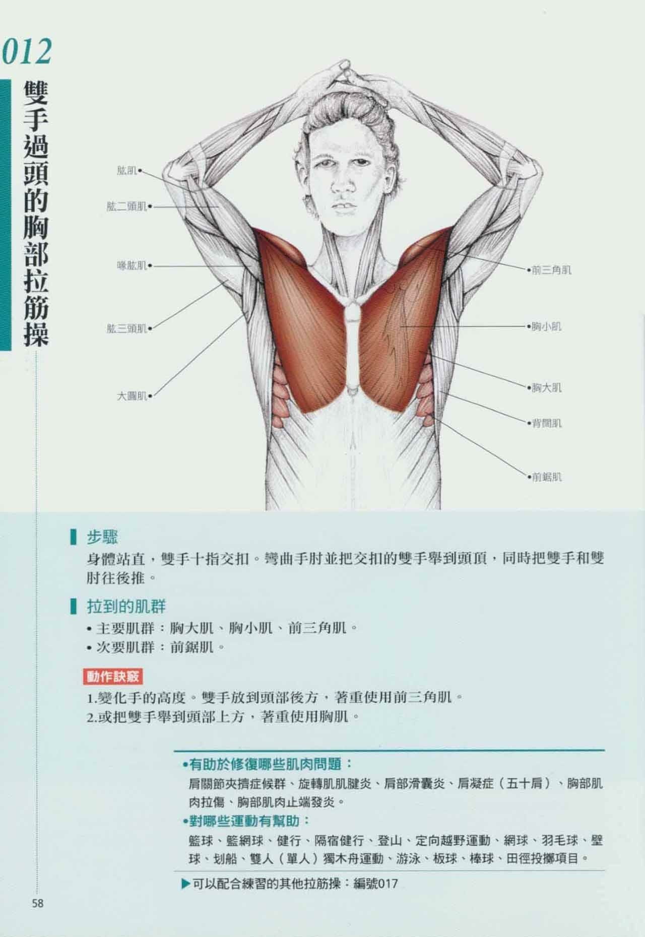 拉筋养生书,拉筋拍打书籍大全