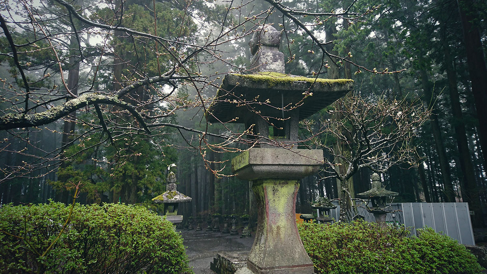 #与索尼为5#赏樱之旅之三：暴雨中方见机身防水之本色！