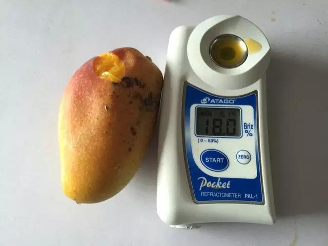 微商做水果能挣钱吗,微商水果前景如何