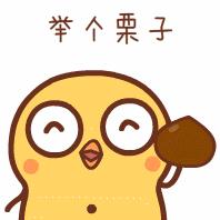 揭秘海淘背后的风险,海淘十大骗局揭秘