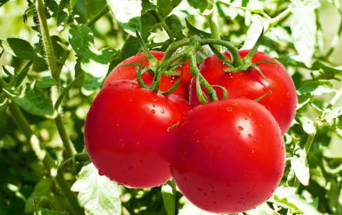 自制美白补水面膜,自制美白补水面膜珍珠粉