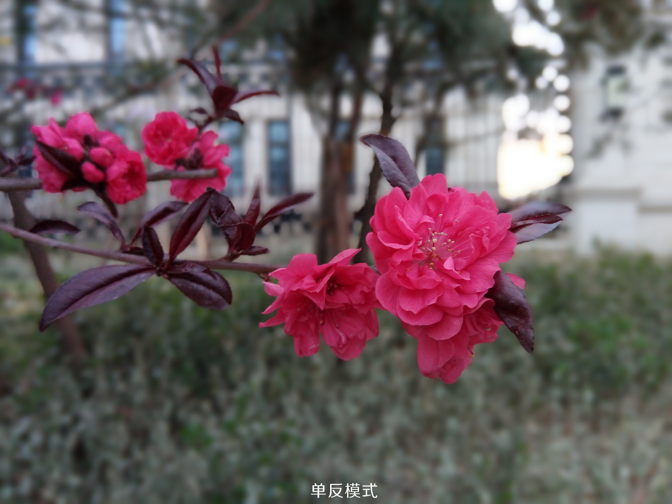 360手机f4标准版和高配版区别,360手机f4怎么样