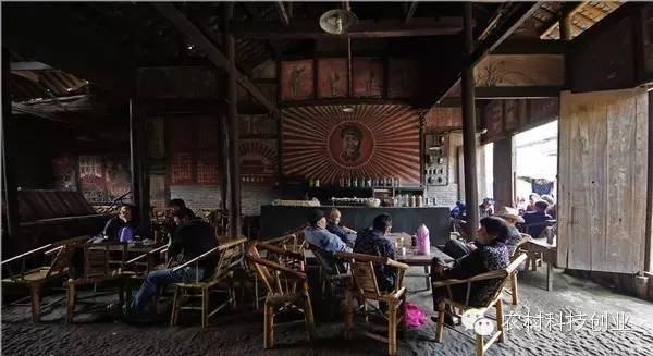 休闲农业十大盈利模式,休闲农业致富方法