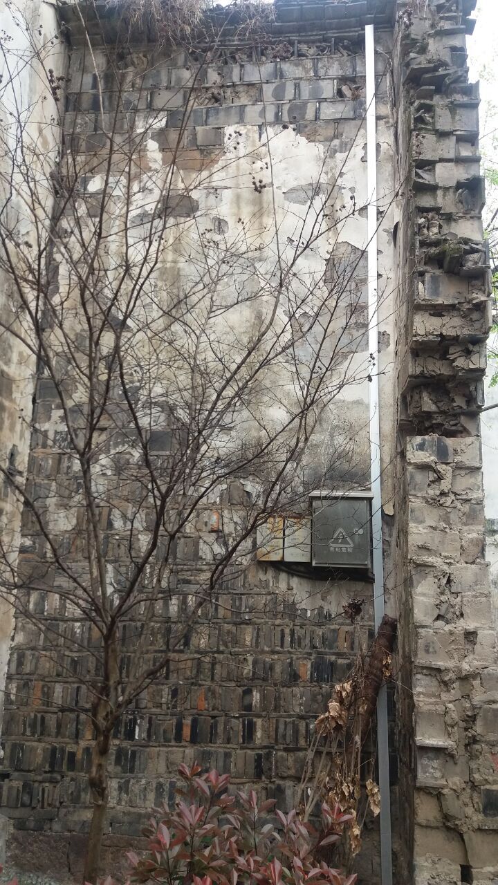 运河古镇塘栖杭州,杭州塘栖古镇周边