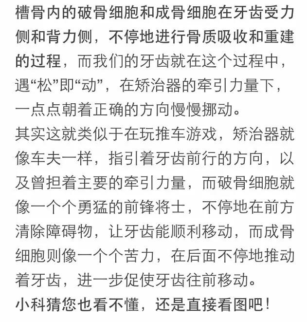 隐形牙套矫正过程中牙齿松动,矫正牙齿导致牙齿脱落是什么原因