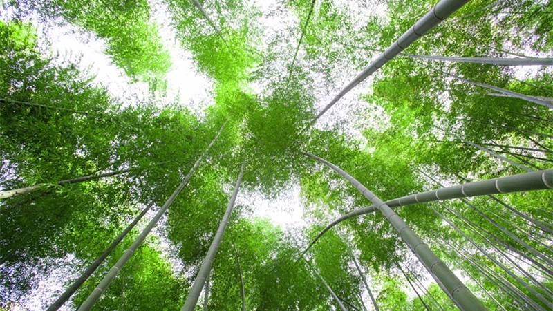 杭州最值得去吃的地方,杭州旅游美食推荐地点