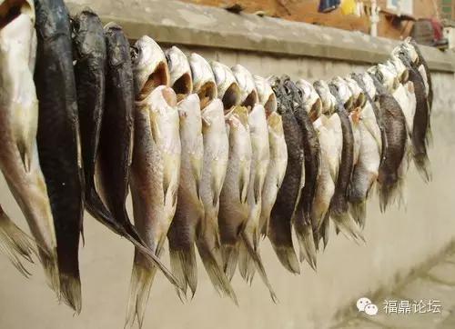 福鼎必吃的十大美食位置,福鼎各种美食介绍大全