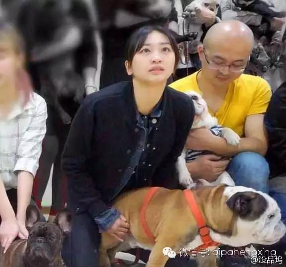 爆逗糗段，哎，那个菇娘，你踩我们的电磁炉干什么？