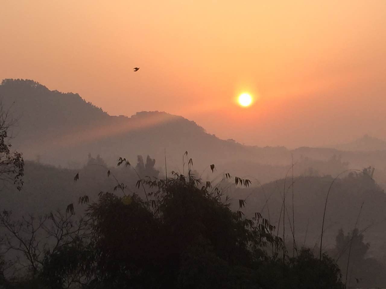 细思极恐的病例,一个触目惊心的病例