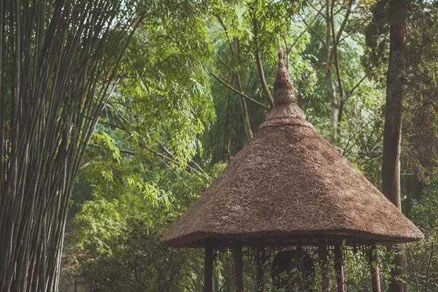 他在这里盖房子时，日本人还没学会唐风