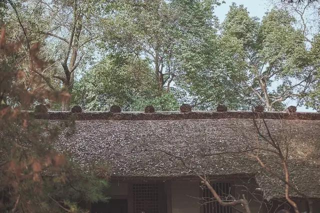 他在这里盖房子时，日本人还没学会唐风