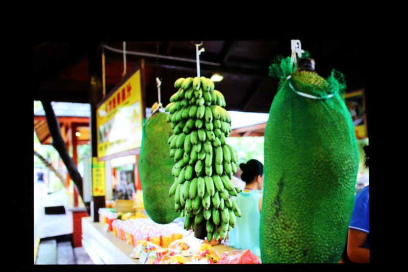 oppor9现在怎么样,用了一年的oppor9怎么样