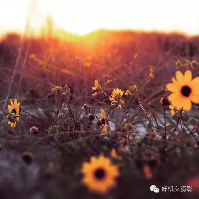 教你五招轻松告别近视眼,10秒钟学会这三招亮化设计技巧