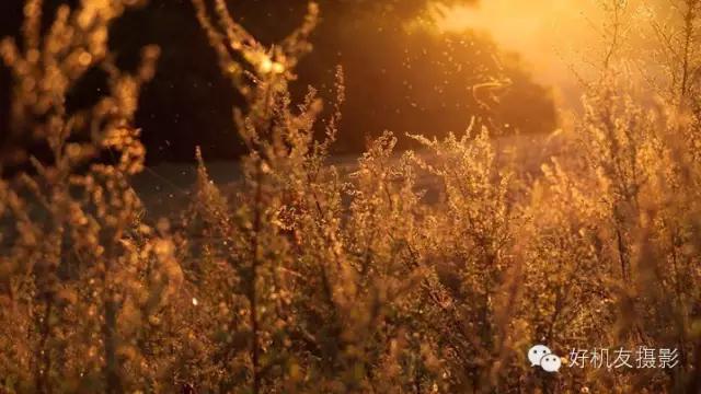 教你五招轻松告别近视眼,10秒钟学会这三招亮化设计技巧