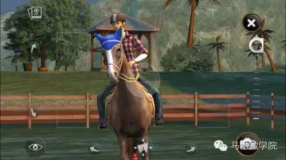 自己养一匹马,能在手机上养宠物的软件