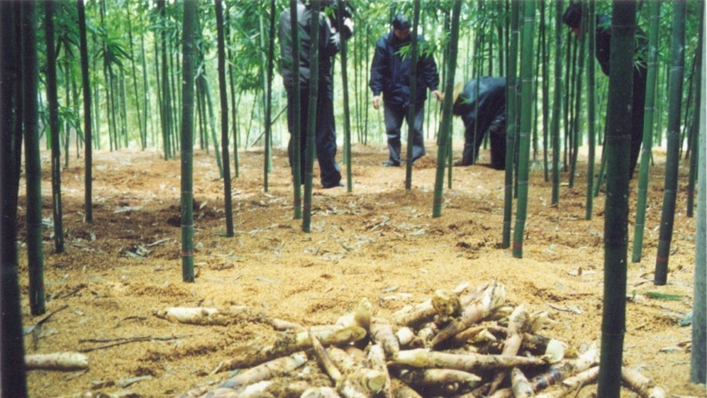 杭州最值得去吃的地方,杭州旅游美食推荐地点