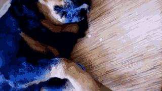 毛小孩吃药后突然倒地翻白眼，吓坏主人！结果却让人笑翻了