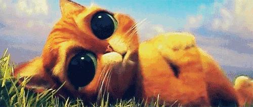 原来思聪后宫团都是美瞳控！如何放电“养”眼两不误？