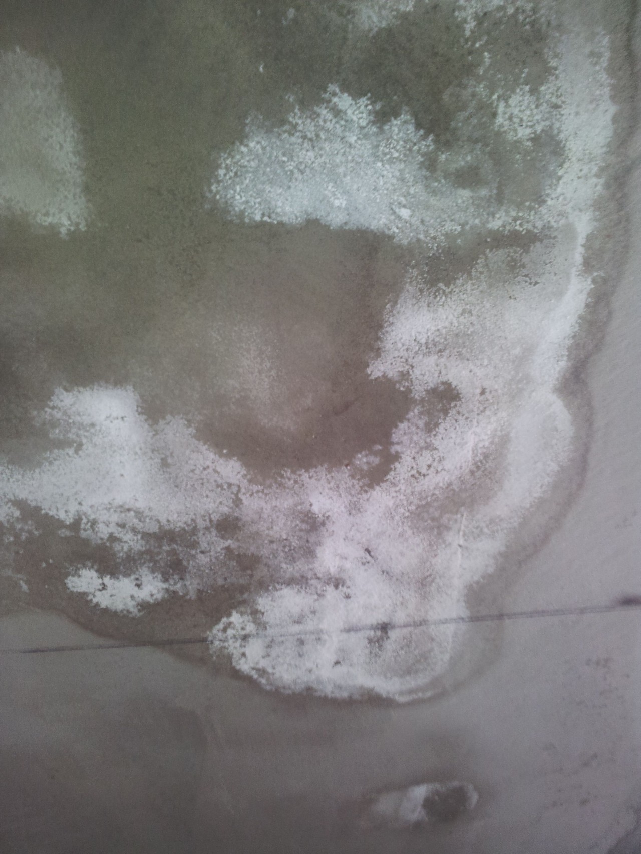 墙面受潮、返碱后如何处理？