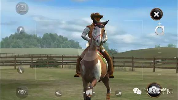 自己养一匹马,能在手机上养宠物的软件