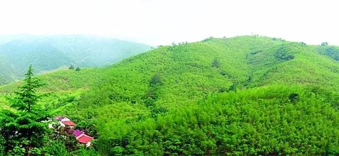 杭州最值得去吃的地方,杭州旅游美食推荐地点