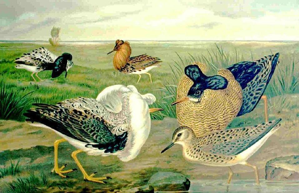 “撩妹”技巧各不同，超级基因说了算？