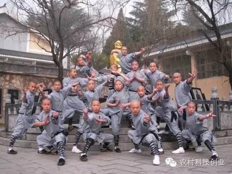 休闲农业十大盈利模式,休闲农业致富方法